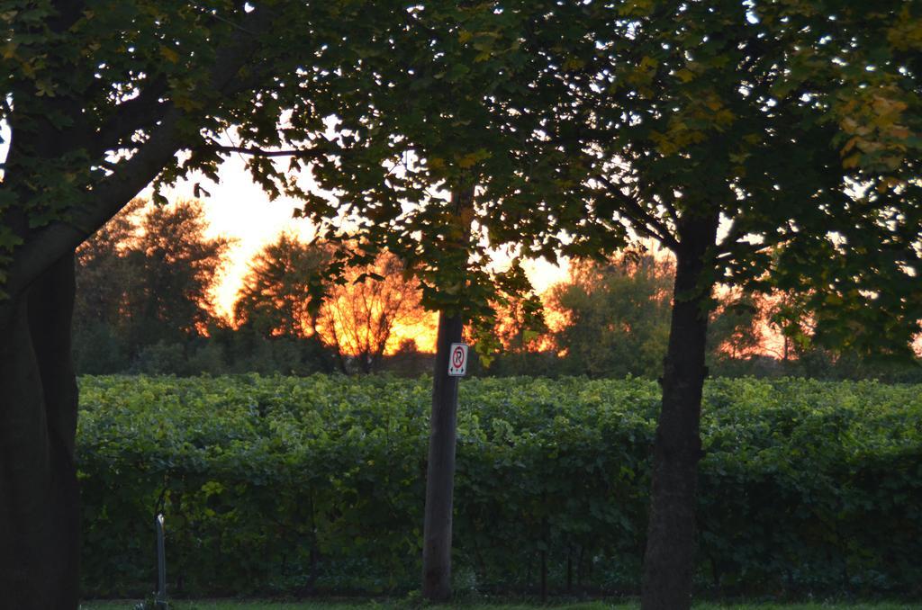 Old Town Country Landing Bed and Breakfast Niagara-on-the-Lake Buitenkant foto